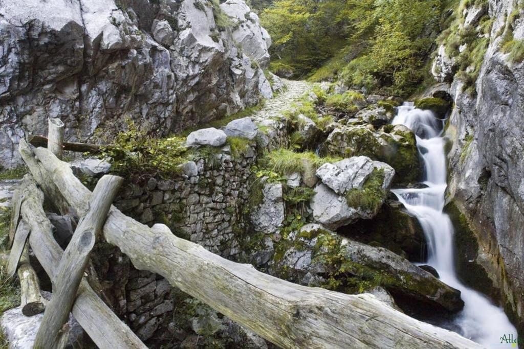 Los Molinos - Atico En Montana De Asturias Felechosa Zewnętrze zdjęcie