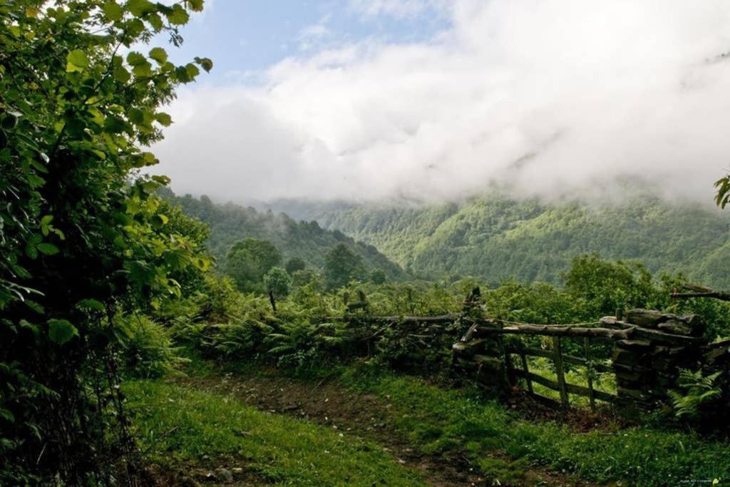 Los Molinos - Atico En Montana De Asturias Felechosa Zewnętrze zdjęcie