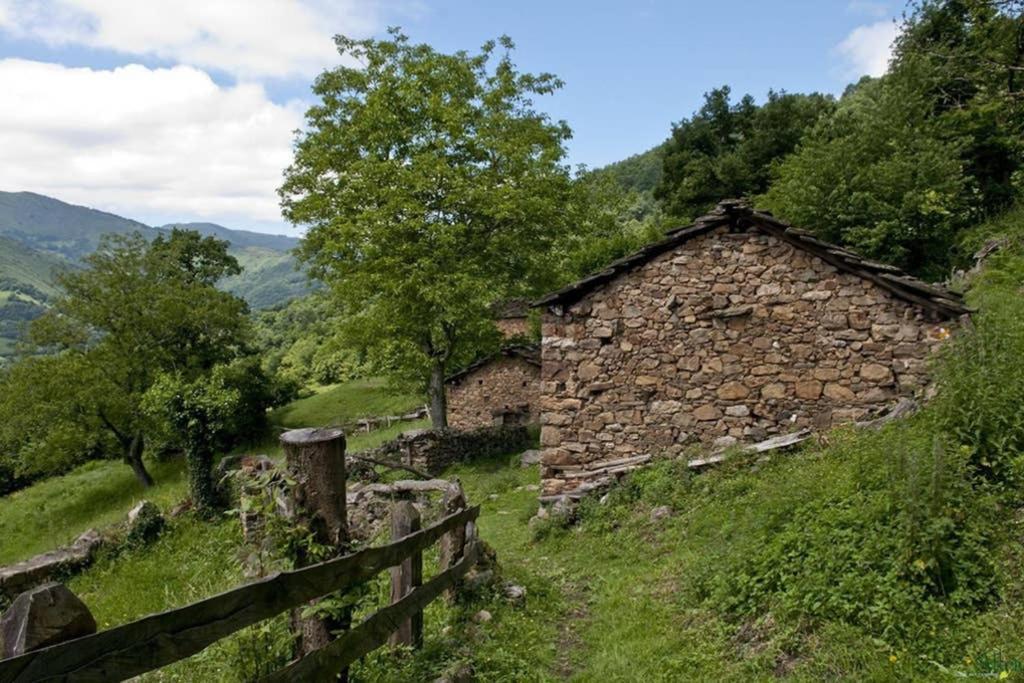 Los Molinos - Atico En Montana De Asturias Felechosa Zewnętrze zdjęcie