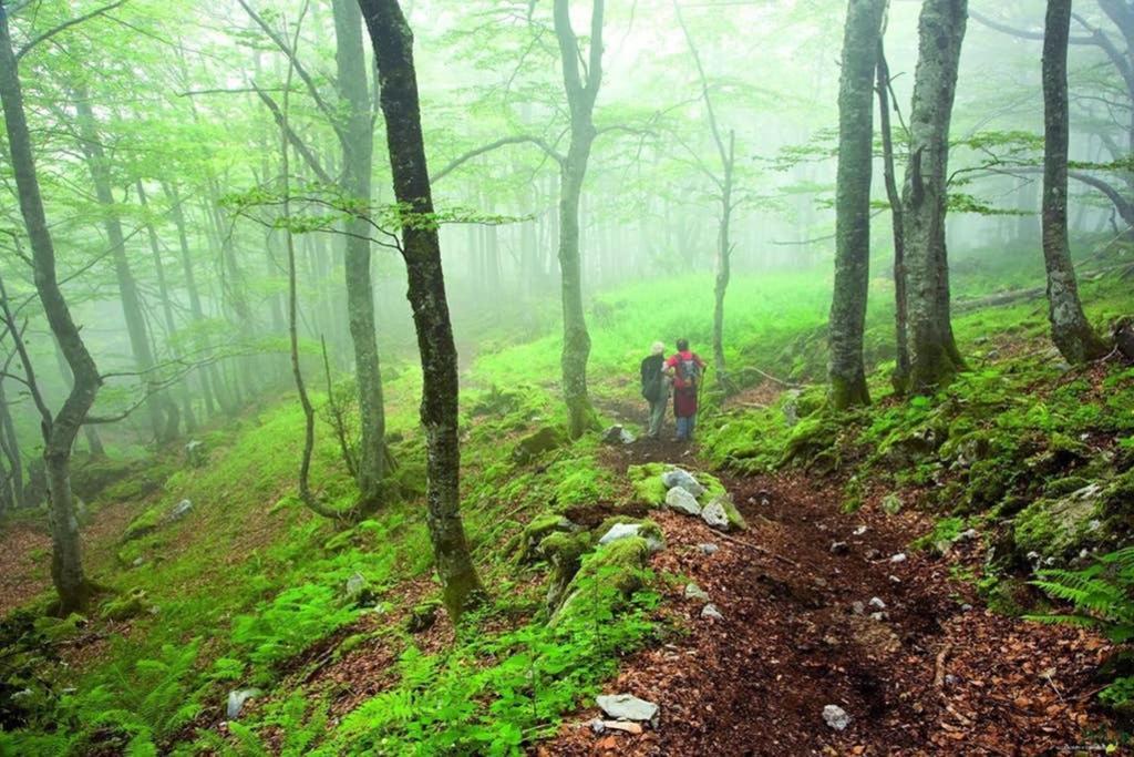 Los Molinos - Atico En Montana De Asturias Felechosa Zewnętrze zdjęcie
