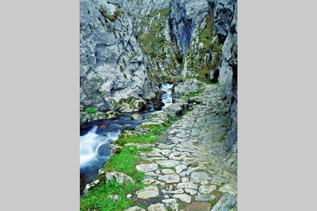 Los Molinos - Atico En Montana De Asturias Felechosa Zewnętrze zdjęcie