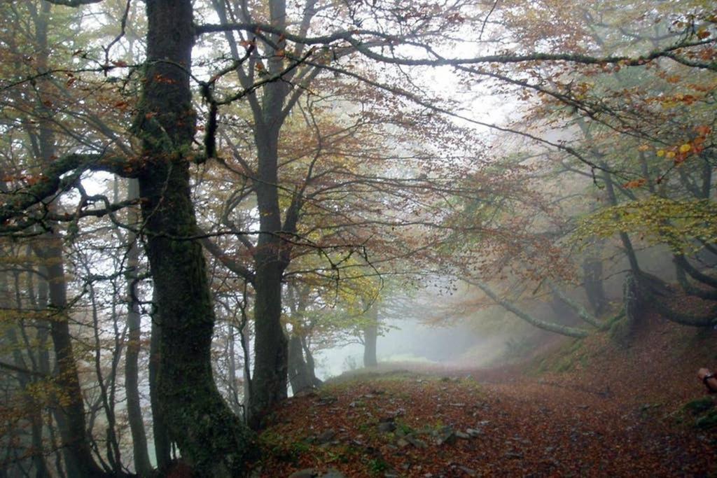 Los Molinos - Atico En Montana De Asturias Felechosa Zewnętrze zdjęcie